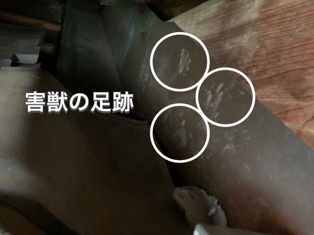 【担当案件数1万件以上】大手消毒会社に10年在籍／即日対応も可／見積り調査無料！