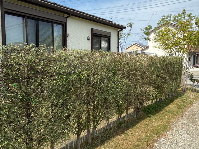 【損害保険加入！】安全・丁寧な作業を心がけております！！