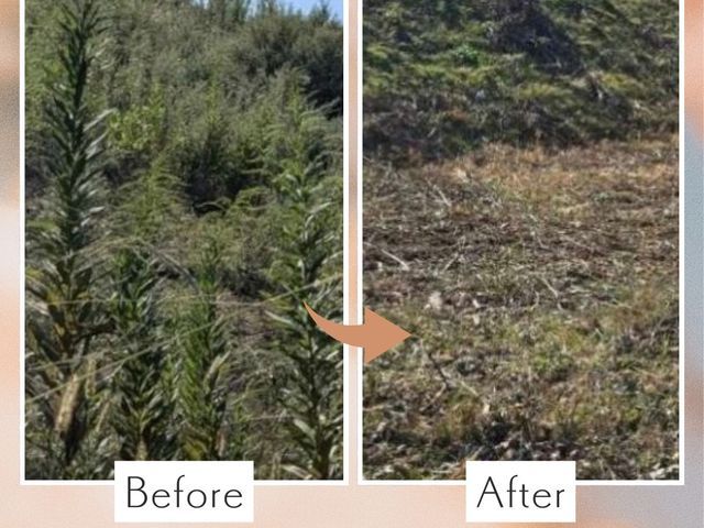 【東京】静かな機械で作業◎官公庁依頼も請け負うプロのパパ店長が訪問します◎