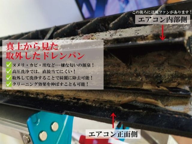 5/17迄！ドレン取外分解込。カビの温床を根こそぎ洗浄！家族とペットの健康を守る