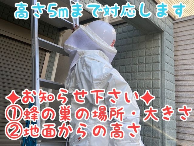 ★女性ハンターが早急に対応！★ご予約前にお問い合わせから状況をお知らせ下さい★