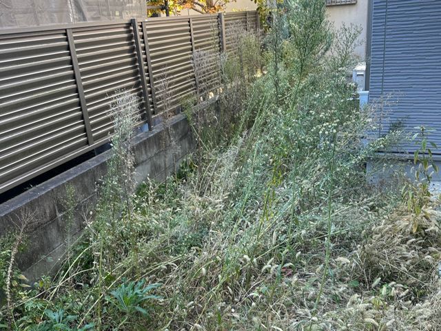 草刈りサービス