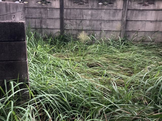 【空き地・駐車場・建築予定地等もOK】草刈機を使った広範囲の除草作業