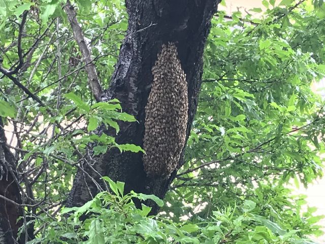 プロの技術でご満足いただけるように心を込めて作業いたします