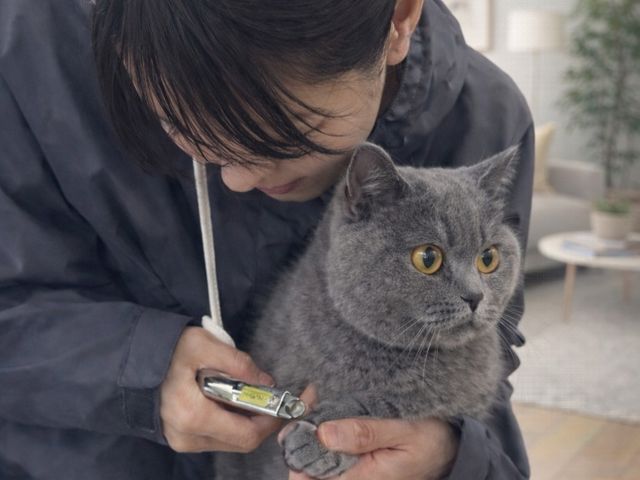 経験豊富な女性スタッフによる、安心の出張お世話サービス！松山市訪問ペットシッター