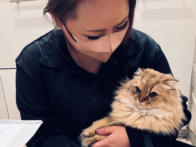 万全の研修体制◎損害保険加入済みで安心◎