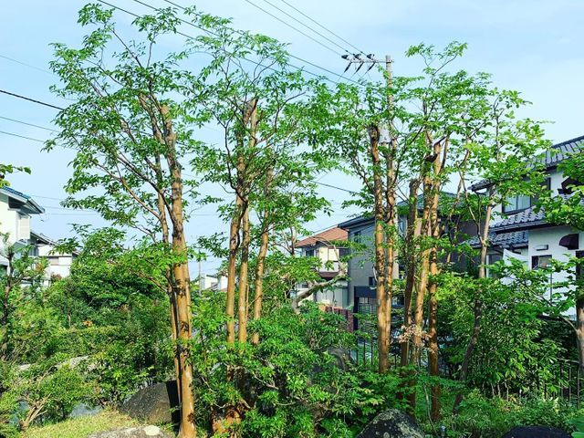 【業歴10年！】お客様のどのようなニーズにも答えられる確かな技術を提供します！