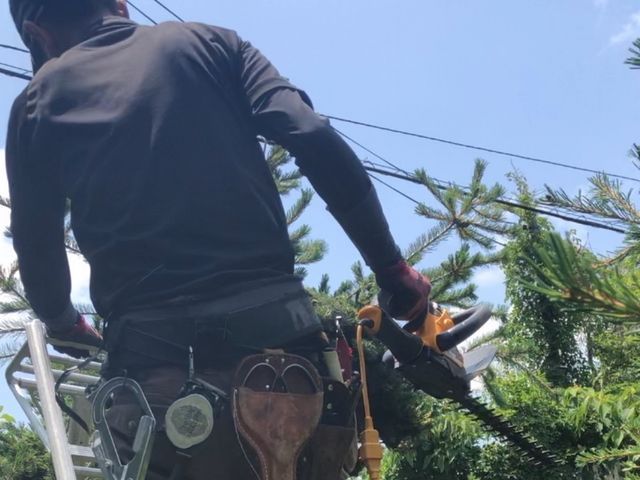 ☆2026年2月オープン☆造園一筋15年以上！お庭のお手入れお任せください！