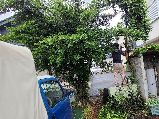 安心の庭仕事｜資格者・元行政職員研修済みスタッフが丁寧対応