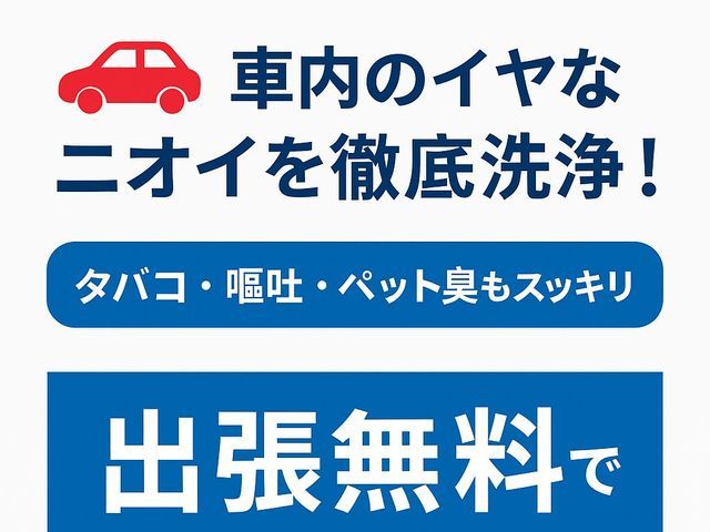 年末に多い★嘔吐や糞尿★食べ溢しの汚れ臭い害虫までも専門に清掃します。新車の内装