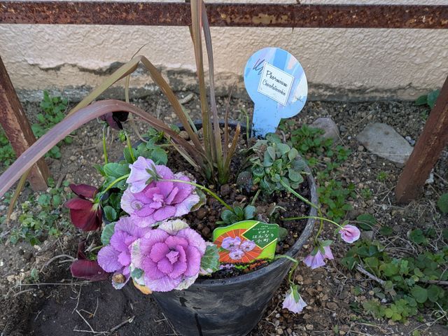 店長自ら、花の魔術師小山がお客様の生活Styleに合わせて生け込みます。