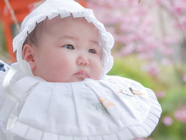 ◆JBP協会認定 ブロンズ会員｜150枚以上｜中山寺登録済　湊川生田西宮神社