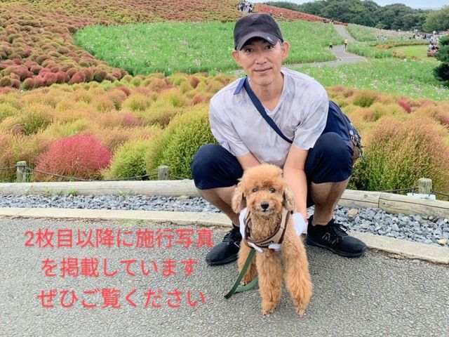 【地域密着　完全自社施工】2級管工事施工管理技士補が伺います！損害保険加入済み！