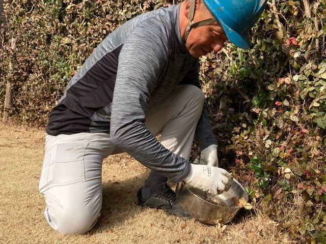 《草むしり(手作業)》はお任せ下さい！　　A型人間の気質をいかして綺麗にします