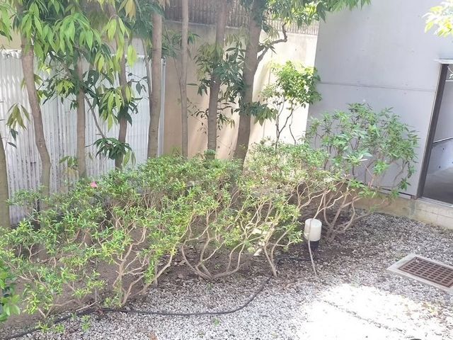 光が入り、風が入り、虫もつきにくくなり病気にもなりにくくなる生垣をご提供します。