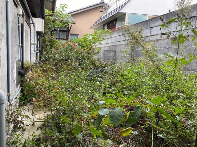 【11月出店】林業経験10年の職人