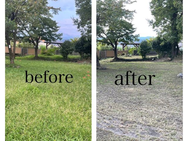 【岐阜羽島の植木屋】初めての方にも丁寧にご案内！地域密着で安心！
