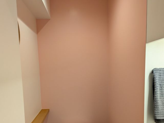 ☆消臭　防汚染塗料によるペットリフォーム☆