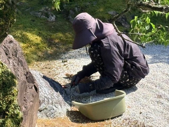 お庭のお手入れ、雑草のお悩みはおまかせください！丁寧キレイに仕上げます！