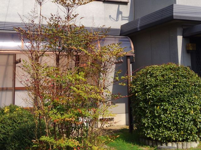 松山市発 植木屋３０年 確かな経験と技術でお庭を素敵に演出します 剪定倶楽部の庭木の剪定 くらしのマーケット