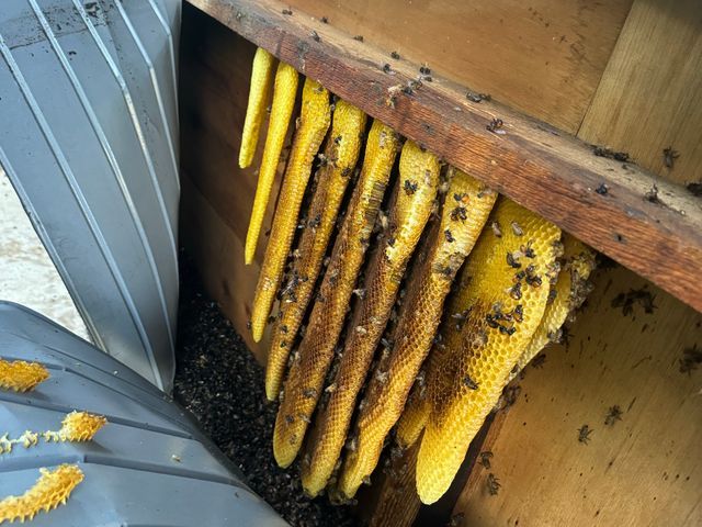 ★年間1000件以上の実績★24時間対応で「まごころ」を込めた迅速駆除サービス◎