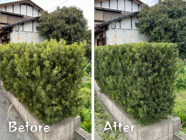 【10%割引中！】地域密着で年間300件以上の実績！生垣の剪定はお任せ下さい！
