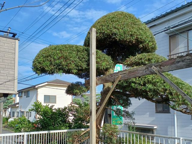 1月新出店｜個人宅からマンションまで対応◎