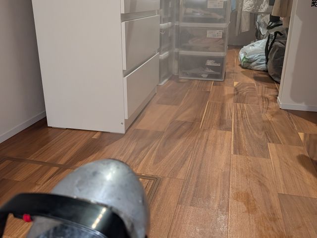 川崎から東京、千葉埼玉にお伺い致します。完全駆除いたします！無料見積もり対応。