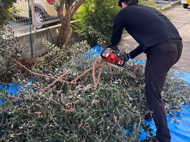 庭木のお手入れおまかせください！◎お見積もり・ご相談無料◎