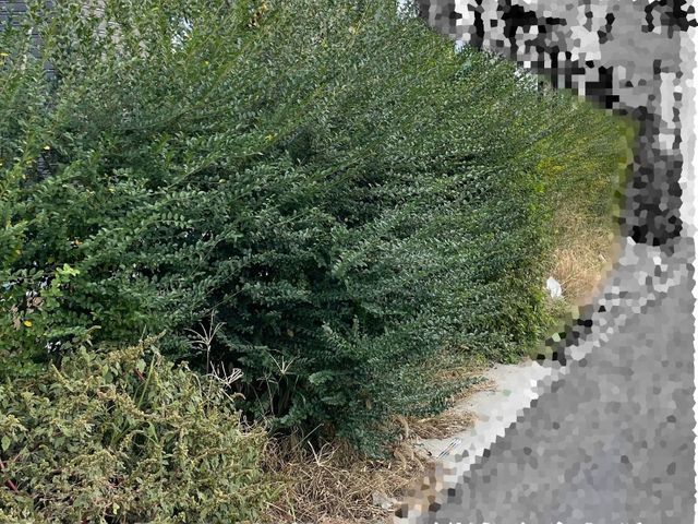 5年の実績と馬力が自慢！予算に合わせて丁寧に提案する安心の出張お手入れサービス