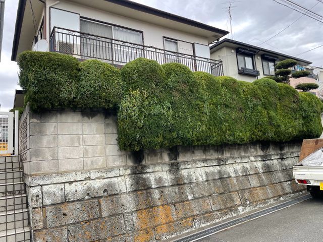 印象を高める景観管理剪定。美しい姿に仕上げます。