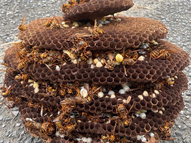 【外注ゼロ・保険完備◎】「また頼みたい」を目指して精一杯対応！女性スタッフ同行◎