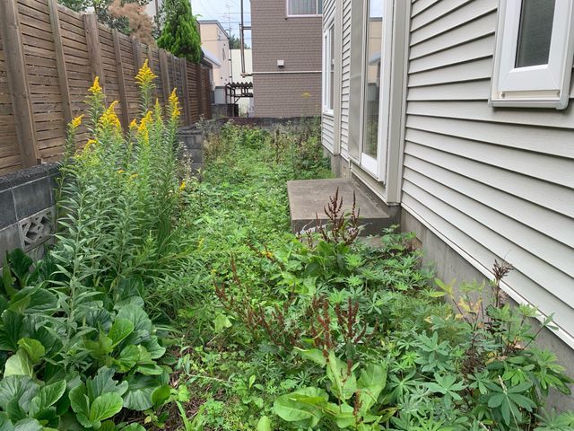 空き地・お庭の機械草刈りならお任せ！札幌近郊対応