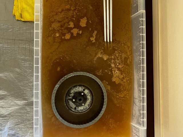 【12月出店】安心の損害保険加入済み◉若さでフットワーク軽く★大手経験あり♪