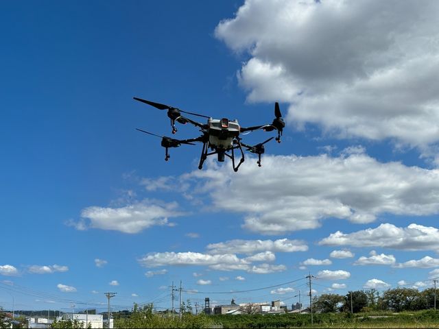 農家の方必見！ドローンで畑の農薬散布・カメムシ防除のお手伝い