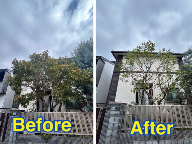 【作業実績200件以上】主婦、高齢者も安心！安心価格の剪定サービス