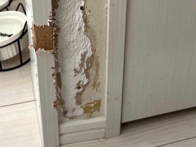 お客様のお力になります！経験と知識を活かして迅速丁寧に作業いたします