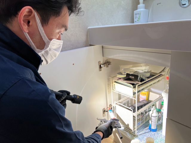 【国家資格保有】ゴキブリ駆除◎業歴20年以上◎年中無休◎営業時間外も対応