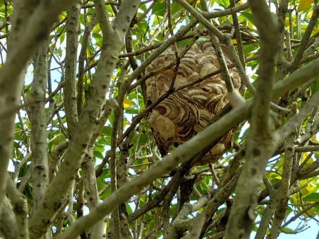 プロの技術でご満足いただけるように心を込めて作業いたします
