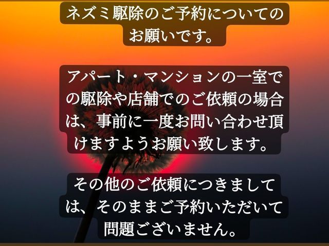 無料見積もり可能。ネズミの侵入口を徹底的に封鎖します。安心して暮らせる環境づくり