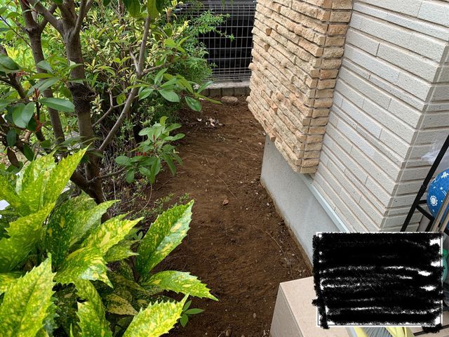 結論：雑木の庭＝お客様の願いを満たす最も合理的な庭