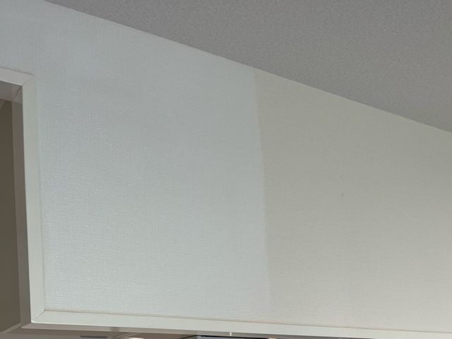 【新規出店キャンペーン】コスト抑えたい方◉柑橘の香りを使用！アレルギー心配なし★サービスの画像