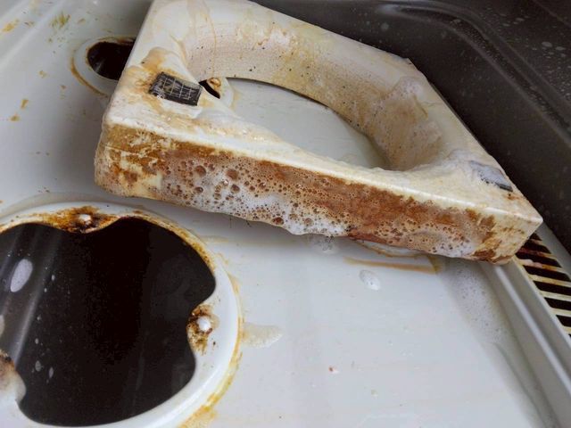 【この機会に害虫対策無料!!】害虫駆除と清掃のプロが手掛ける水回りクリーニング！