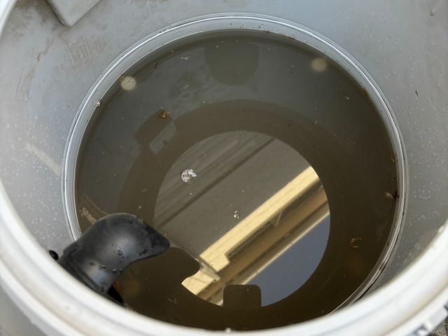 【菌が繁殖する前に！】車内シートを丸洗い！アルカリ電解水やスチーム除菌と光触媒