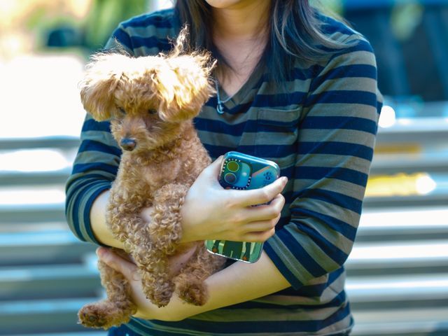 プロの技術でご満足いただけるように心を込めて撮影いたします