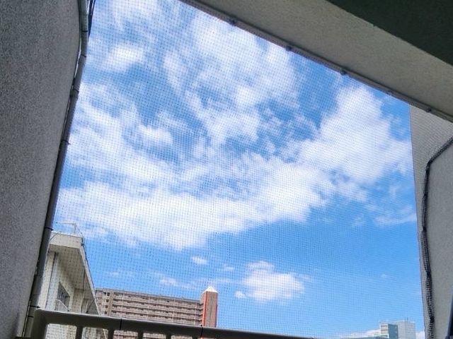 安価で確実な鳩対策は弊社にお任せください！　お客様に寄り添ったご提案を！