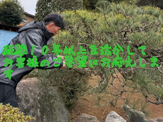地域密着！経験10年以上、2級造園施工管理技士による剪定　☆冬季限定価格