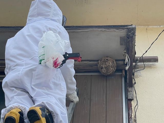 スズメバチの駆除