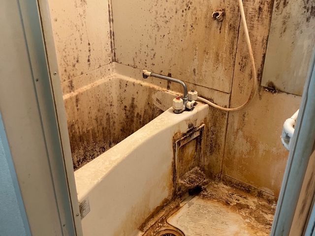 ◆◇徹底洗浄で快適空間◇◆ 今だけ新規出店キャンペーン！