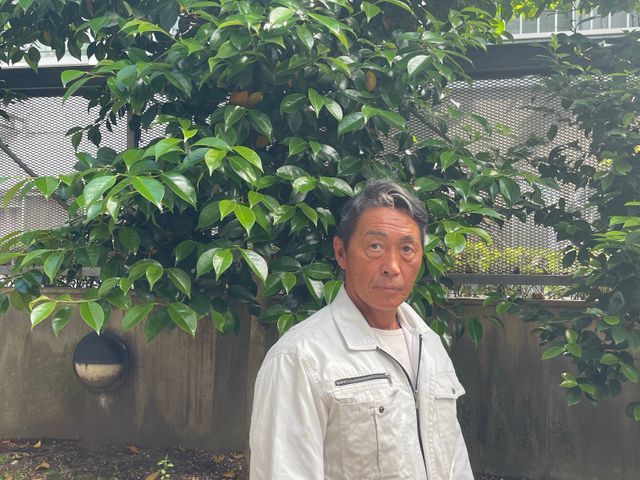 庭木剪定•枝切りなど